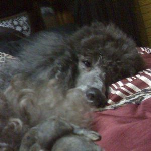 Meet your Posher, Kimberly